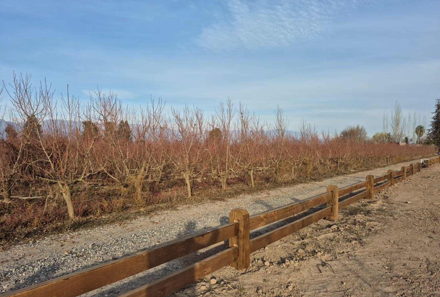 Cerco de madera junto al huerto, Fundo Santa Elisa